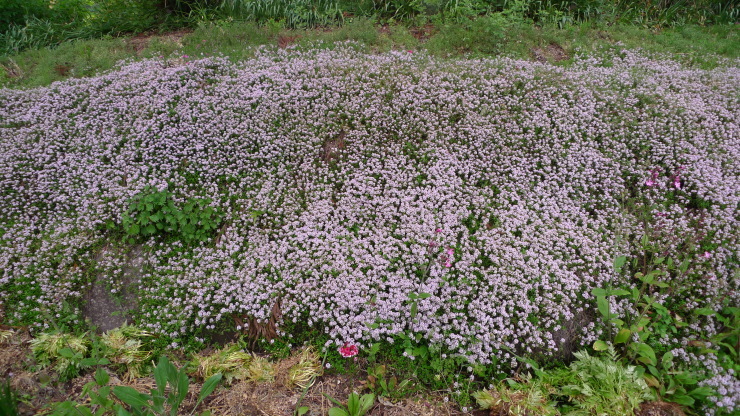 c0212083_21583498.jpg