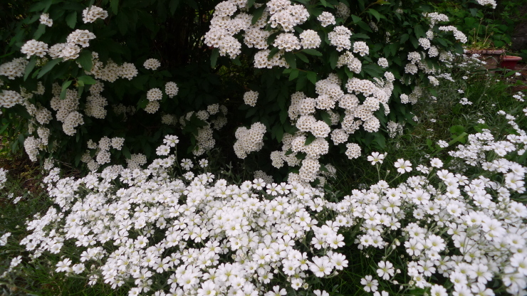c0212083_21590377.jpg
