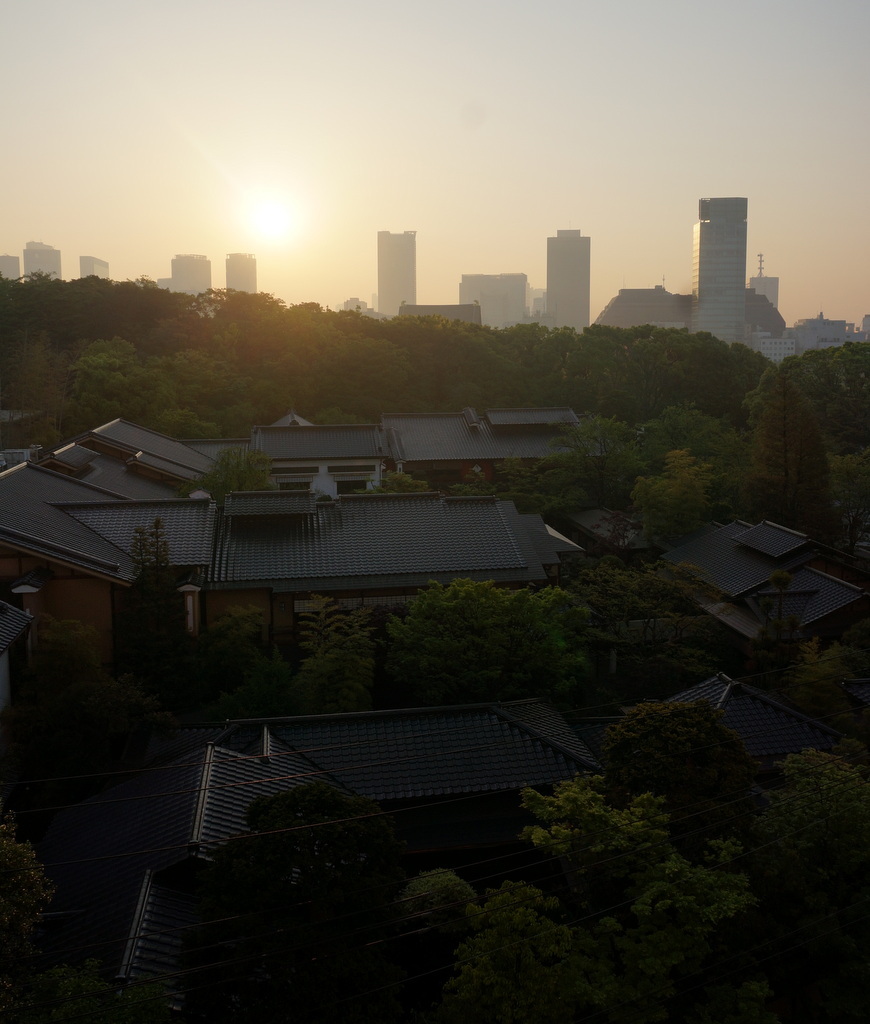 @ベルリン帰国日記 日の出と筍。_c0180686_00173146.jpg