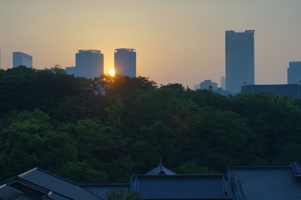 @ベルリン帰国日記 日の出と筍。_c0180686_00192727.jpg