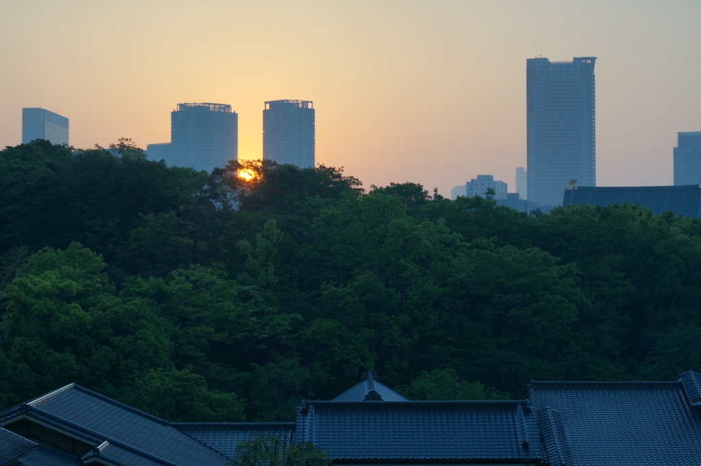 @ベルリン帰国日記 日の出と筍。_c0180686_00195898.jpg