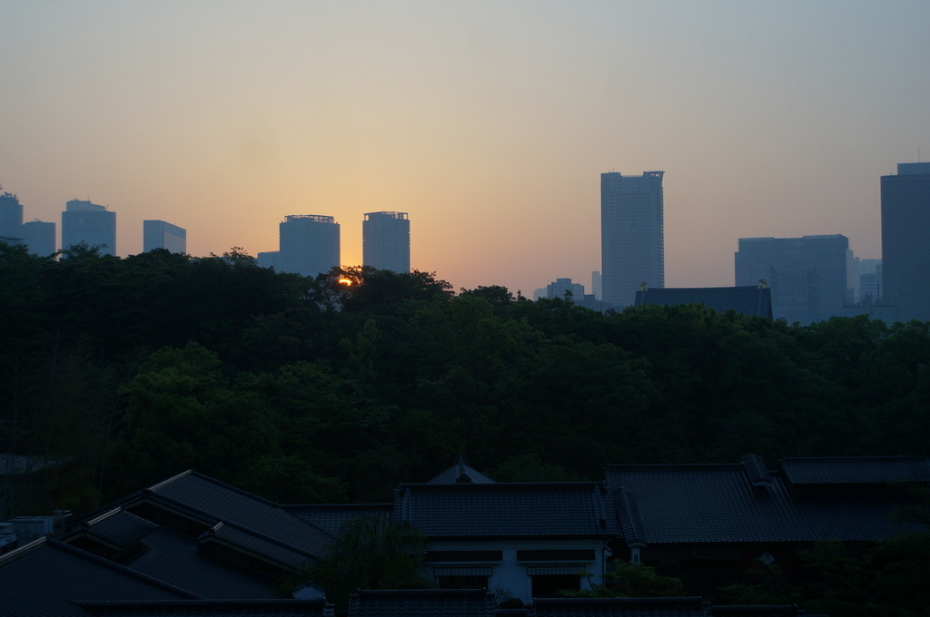 @ベルリン帰国日記 日の出と筍。_c0180686_00202099.jpg