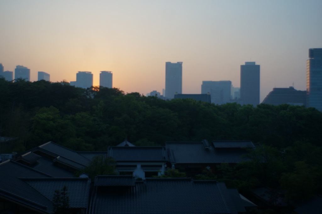 @ベルリン帰国日記 日の出と筍。_c0180686_00203129.jpg