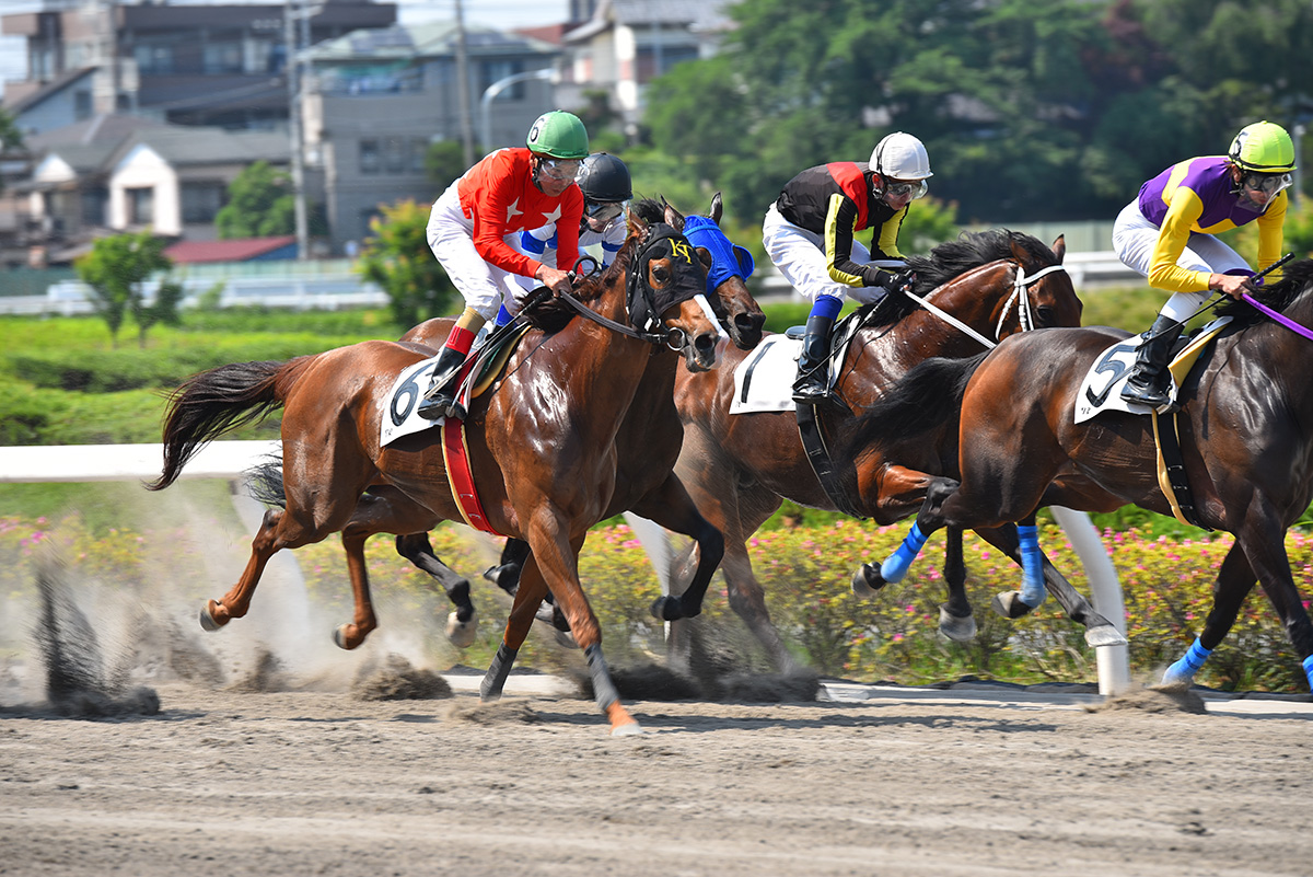 D750＋シグマ120-300mm F2.8 DG OS HSMで競馬場に行ってみた　その１_a0112888_1133663.jpg