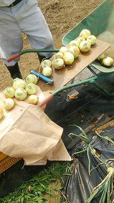 e0270403_1728372.jpg