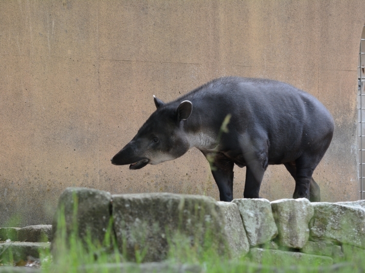 アグアと緑色の庭_a0164204_23053156.jpg