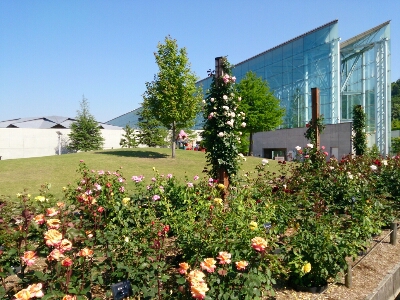 e0252905_14234.jpg