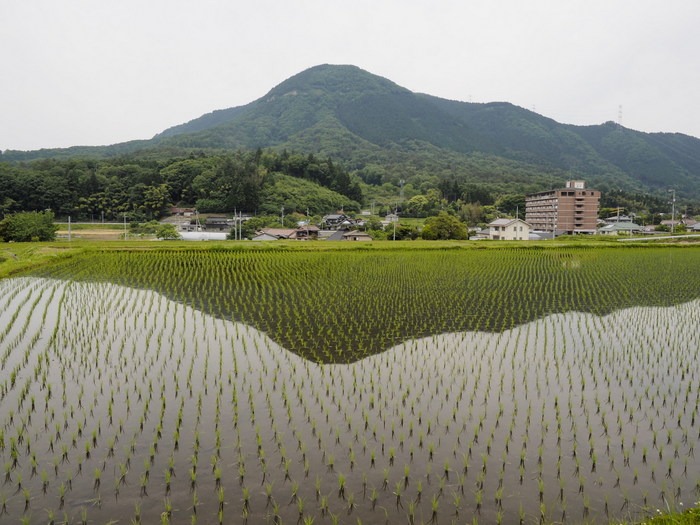 阿弥陀山&大上牧場_c0116915_0112728.jpg