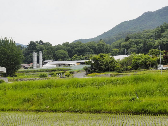 阿弥陀山＆大上牧場_c0116915_0131993.jpg