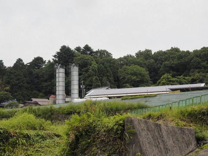 阿弥陀山&大上牧場_c0116915_0133359.jpg