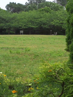 公園でぼーっと・・・_f0123517_1915522.jpg