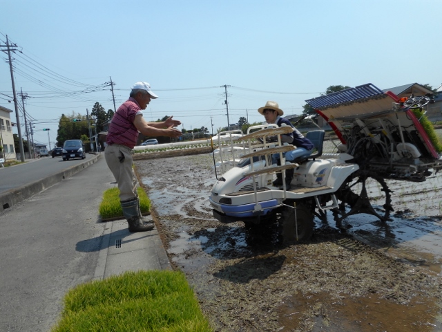 田植え_d0091122_22373597.jpg