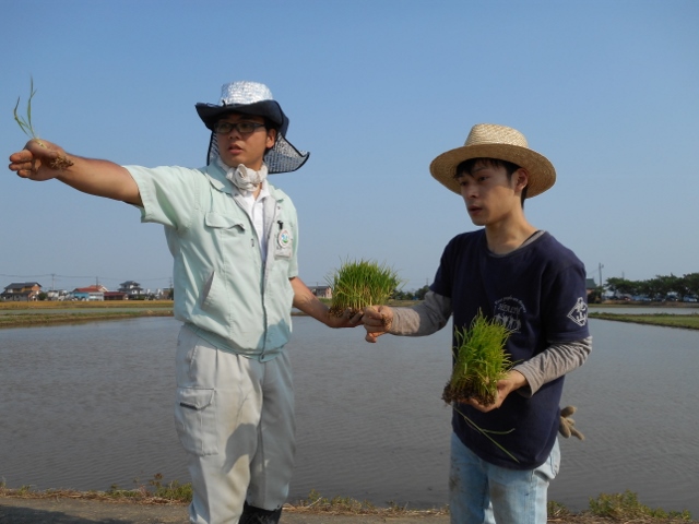 田植え_d0091122_2314687.jpg