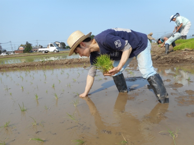 田植え_d0091122_23181058.jpg
