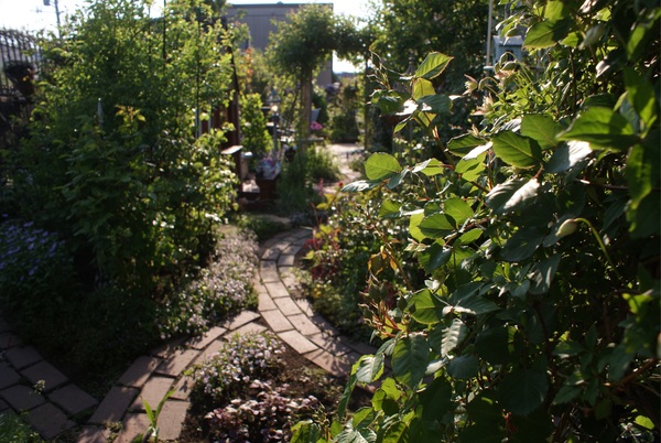 f0170524_7514589.jpg