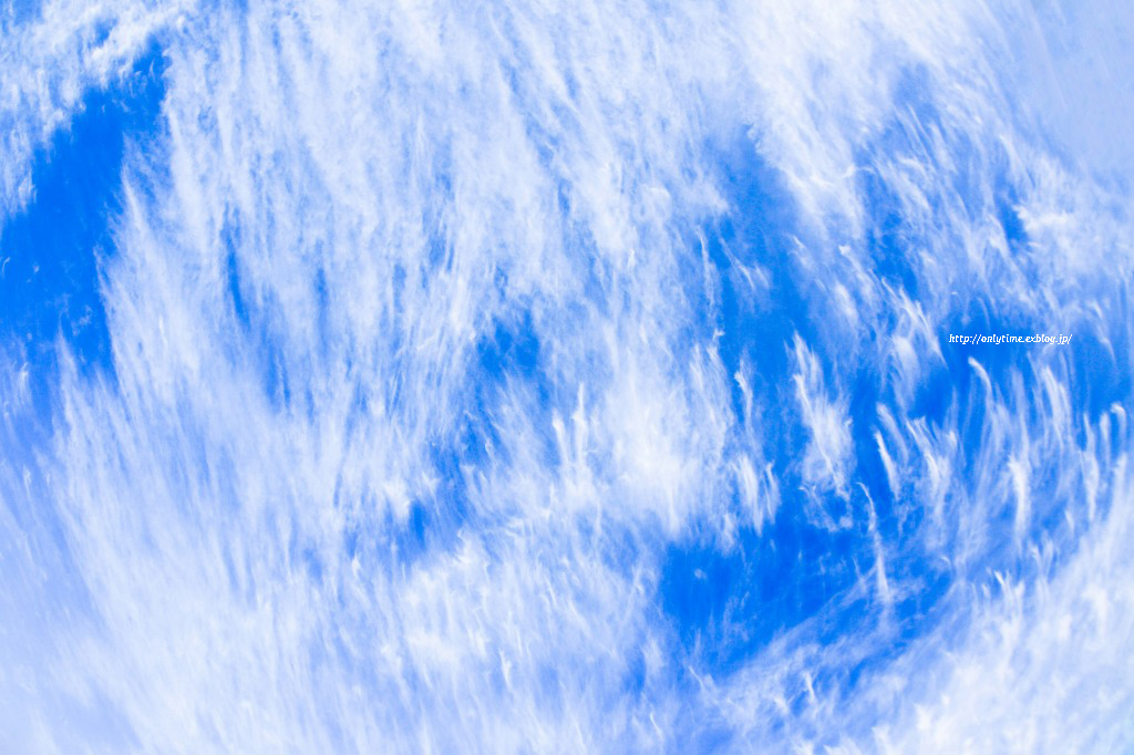 b0181125_12110997.jpg