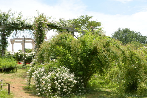 e0335926_00021665.jpg