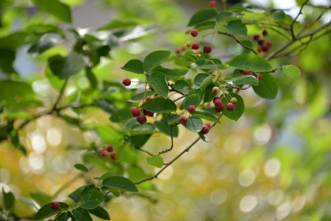 e0335926_00044702.jpg