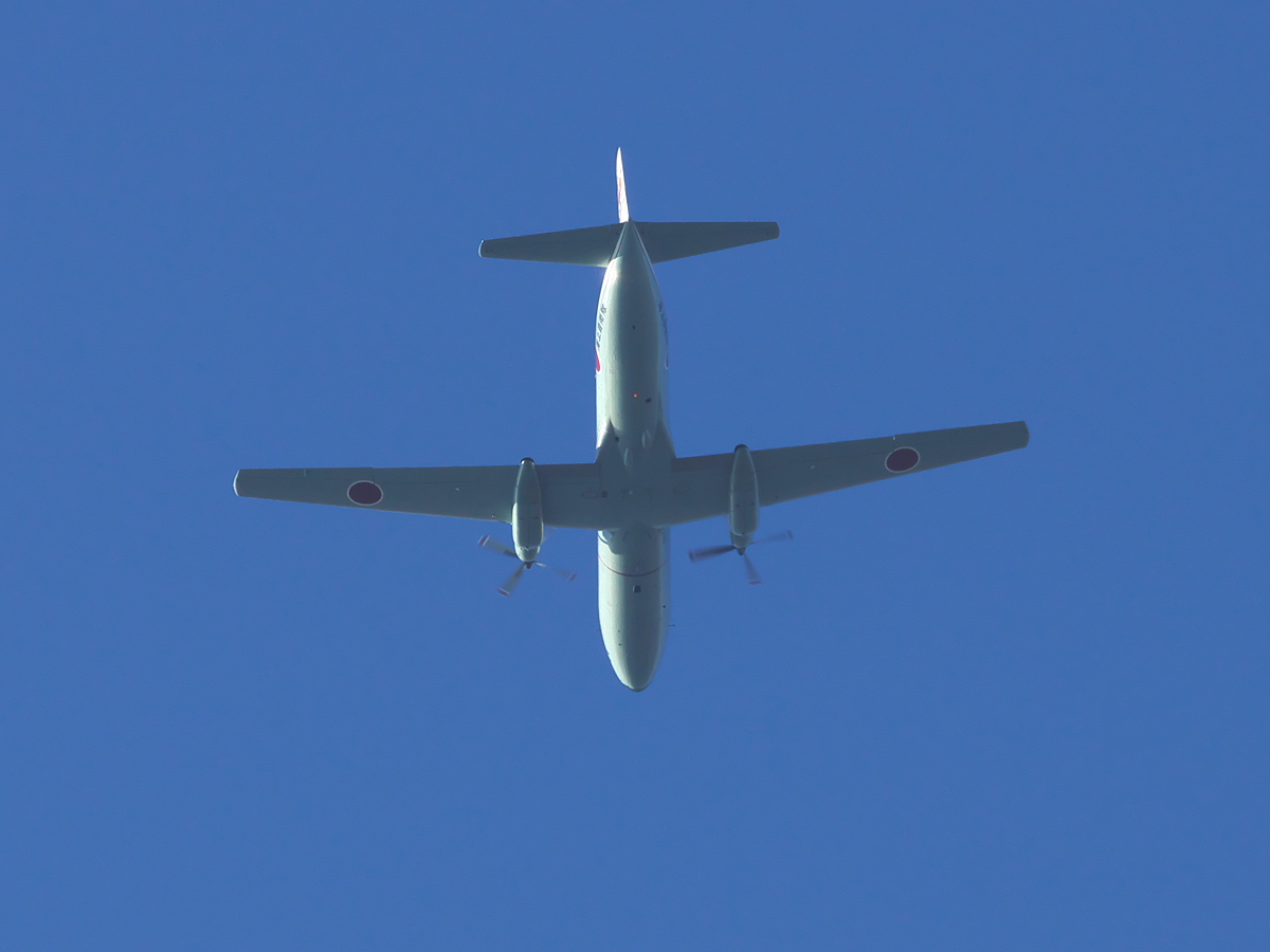 d0137627_039375.jpg