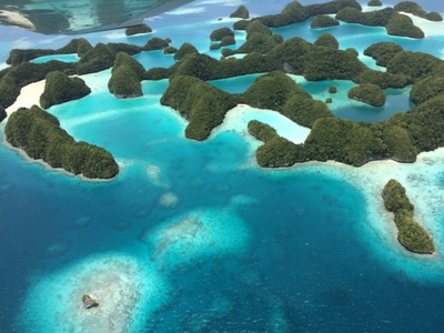 a0124132_1062036.jpg