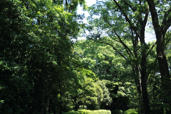 f0229832_9242842.jpg