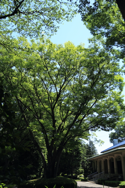 f0229832_925763.jpg