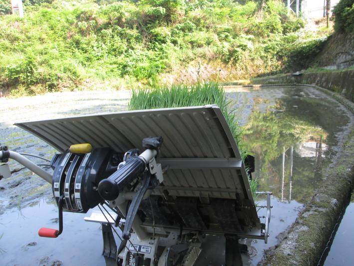 c0306845_2133217.jpg