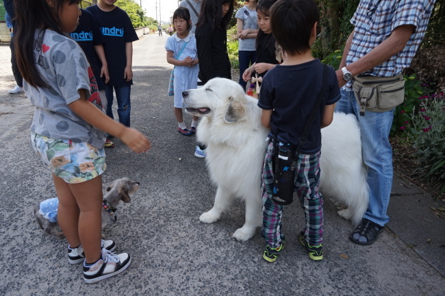 わんイベントに！　八子の花カフェへ(*ﾟ▽ﾟ*)_a0201257_12565051.jpg