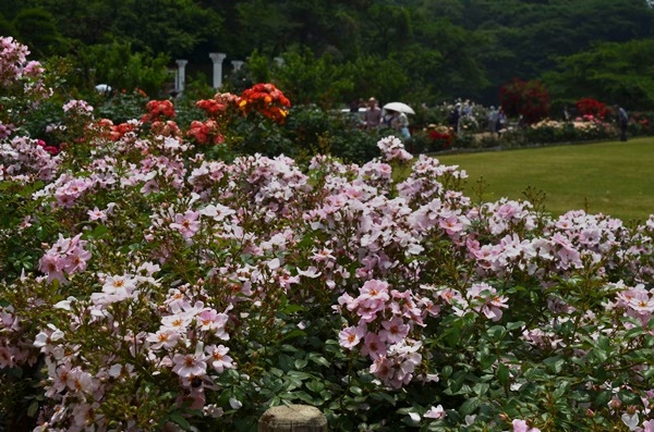 e0020957_21575312.jpg