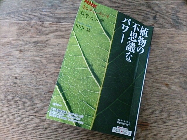 d0328666_09534822.jpg