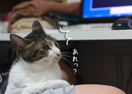 a0119470_18444962.jpg