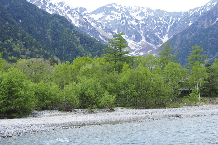 e0307372_12533827.jpg
