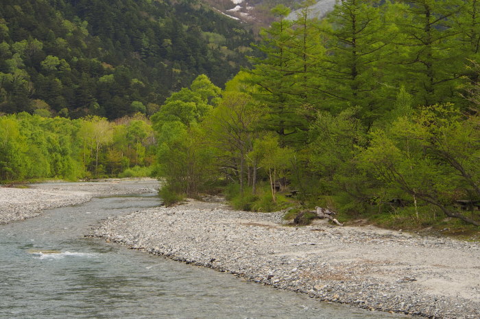 e0307372_14141730.jpg