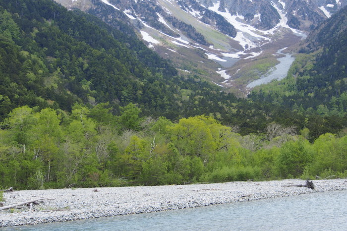 e0307372_14344690.jpg