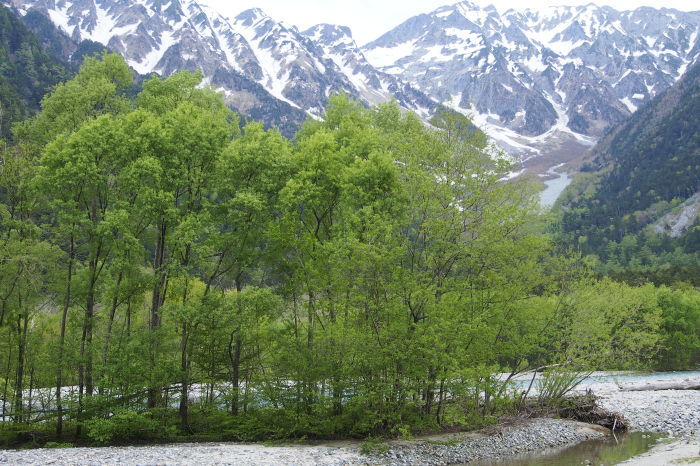 e0307372_14370889.jpg