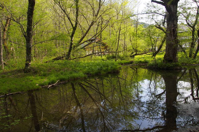 e0307372_15203830.jpg