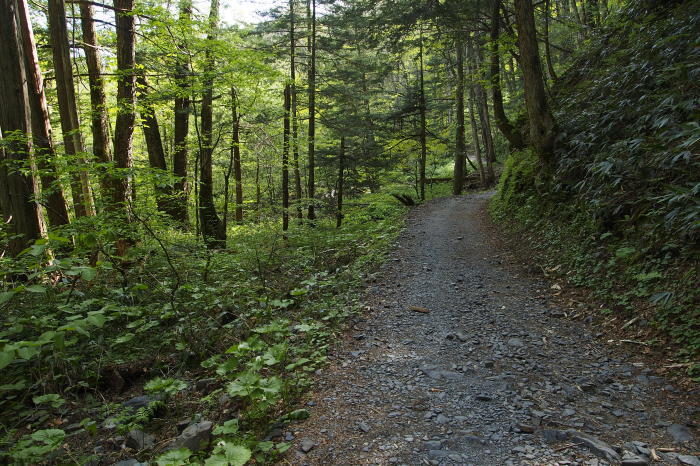 e0307372_15294612.jpg