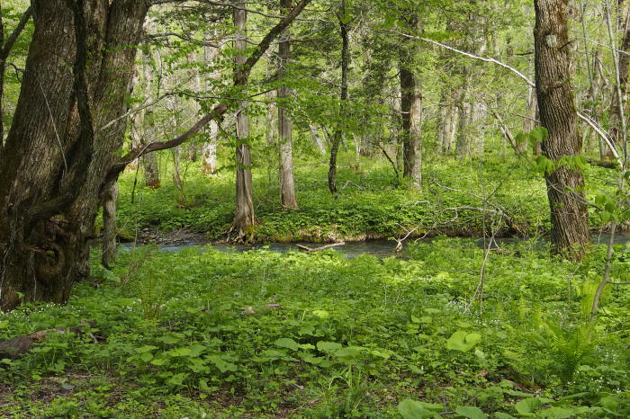 e0307372_15570761.jpg
