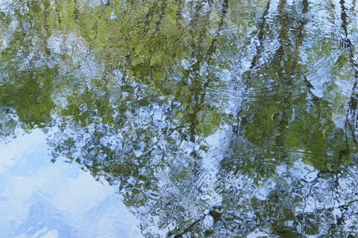 e0307372_15573800.jpg
