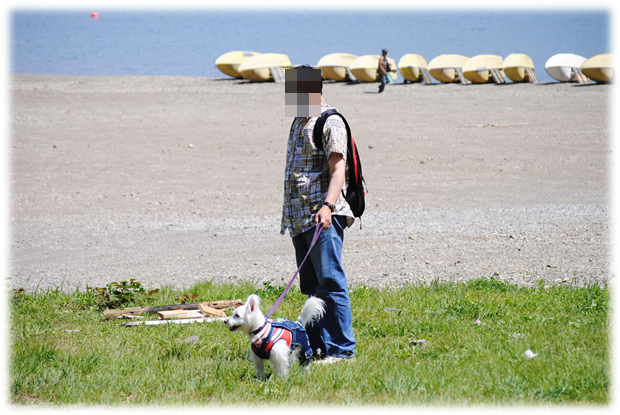 b0242873_01152546.png