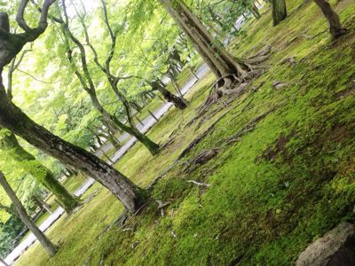 美山荘 日本のもてなし_e0326573_14123968.jpg