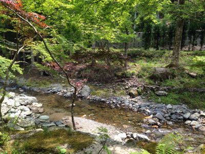 美山荘 日本のもてなし_e0326573_14124165.jpg