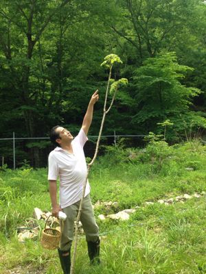 美山荘 日本のもてなし_e0326573_14124255.jpg