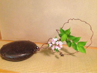 美山荘 日本のもてなし_e0326573_14124693.jpg