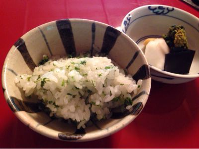 美山荘 日本のもてなし_e0326573_1413081.jpg