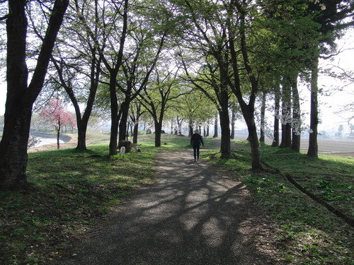 f0243073_19502748.jpg