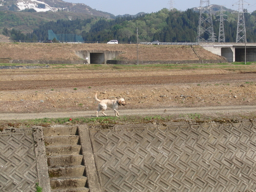 f0243073_2001222.jpg