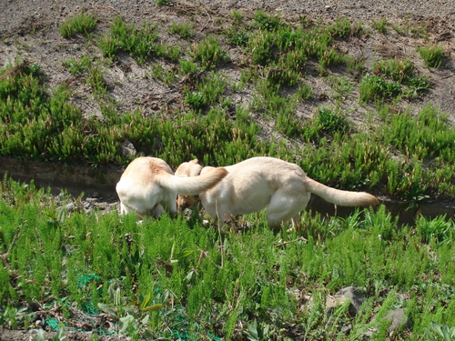 f0243073_2032288.jpg