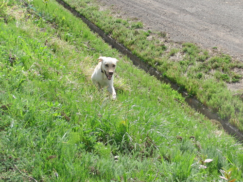 f0243073_2053021.jpg
