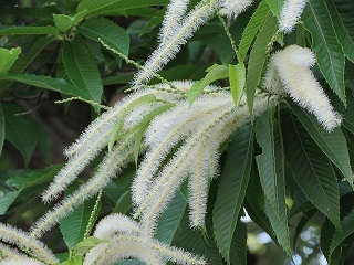 c0343177_15074145.jpg